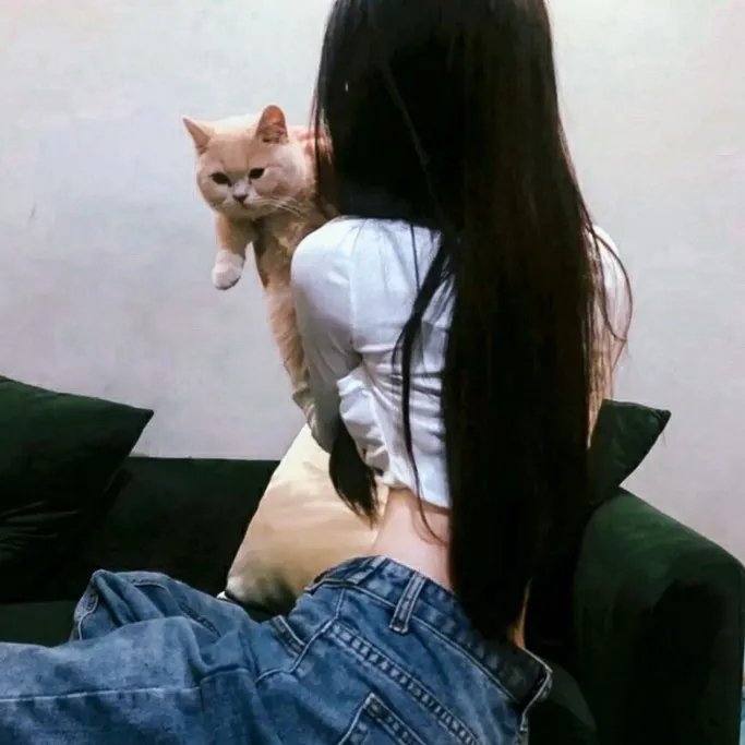 萌仔萌萌宅